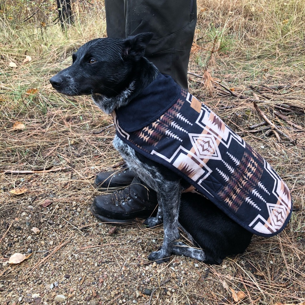 Pendleton Dog jacket